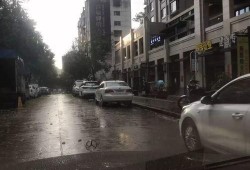永安爆料最新消息,最新热点事件深度解析