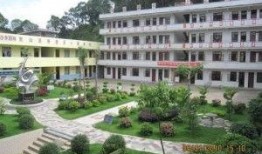 博白县江宁镇抖音最新爆料,揭秘当地独特风情与民生变迁