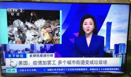 昆明爆料海燕视频播放,海燕视频播放引发热议，真相究竟如何？