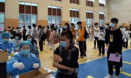 戈雅最新爆料消息,揭秘娱乐圈惊人内幕