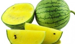 吃瓜娱乐图片高清无水印,捕捉娱乐圈精彩瞬间