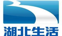 湖北卫视在线直播观看,精彩瞬间尽收眼底