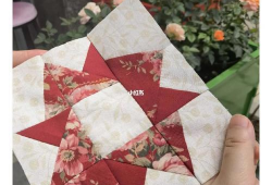 蘑菇爆料的视频大全集,视频大全集精彩瞬间回顾