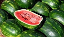 全网吃瓜免费入口下载,一网打尽热门资讯，轻松下载畅享娱乐盛宴