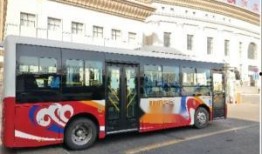 葫芦岛公交车爆料视频大全,揭秘爆料视频背后的真实故事