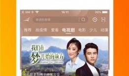 昆明爆料海燕视频播放,海燕视频播放引发热议，真相究竟如何？