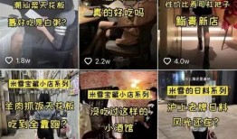 大连探店老虎爆料视频,老虎爆料带你探秘美食新地标