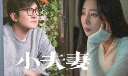 中年夫妻爆料完整版视频,揭秘真实婚姻生活背后的酸甜苦辣