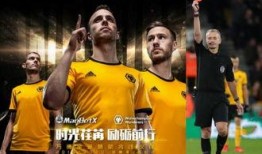 狼队骄傲爆料视频