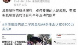 成毅被卓伟爆料视频是真的吗,卓伟爆料真相揭晓