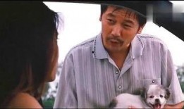 老杨爆料的图片搞笑版视频