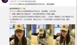 武成侯最新爆料新闻视频,最新爆料新闻视频深度解析