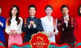 春晚总导演爆料视频播放,幕后故事与精彩瞬间大曝光