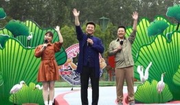 冯教授最新爆料消息视频,最新爆料视频深度解析