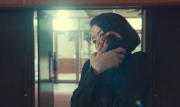 搜查官在线在线观看,揭秘网络世界的神秘调查之旅