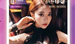 小雪黑粉爆料视频下载,真相与争议并存