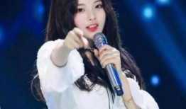 圈内爆料鹿晗杨超越,揭秘娱乐圈的甜蜜邂逅