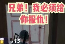 吃鸡最新更新爆料视频,全新玩法与优化一览