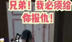 吃鸡最新更新爆料视频,全新玩法与优化一览