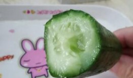 荷兰网红吃瓜,揭秘网红圈幕后趣事