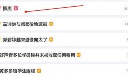 柳爽被女网友爆料视频,真相与争议交织