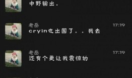 老岳爆料小虎视频播放全集,老岳独家爆料背后的精彩瞬间