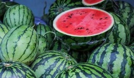 澳洲网红吃瓜事件,揭秘网络舆论的风暴与真相