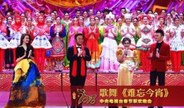 春晚总导演爆料视频播放,幕后故事与精彩瞬间大曝光