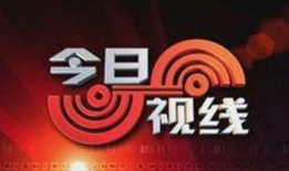 今日视线爆料集锦,热点事件一网打尽