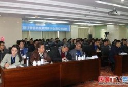 庆城县媒体爆料案件最新,最新案件进展引发社会关注