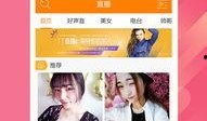 娱乐爆料直播号是什么意思,揭秘娱乐圈幕后风云