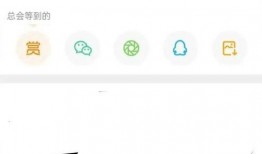 张小寒爆料王鸥视频,真相与争议