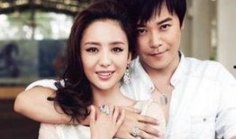 陈思诚事件最新爆料视频,细节披露引发舆论热议