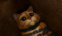 穿靴子的猫电影在线观看,魔法冒险之旅在线观影指南