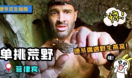 单挑吃瓜后续第三集免费观看,悬念升级，免费观看大揭秘！