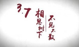 新版天涯爆料视频,热点事件背后真相曝光