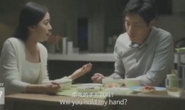 中年夫妻爆料完整版视频,揭秘真实婚姻生活背后的酸甜苦辣