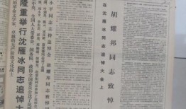 紫砂爆料新闻报道内容怎么写,揭秘行业内幕，深度解析紫砂市场风云