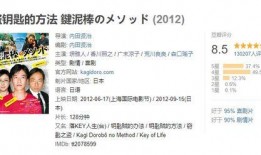 盗钥匙的方法在线观看,在线观看盗钥匙方法的惊悚揭秘