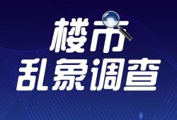 二宁最新爆料新闻报道,揭秘娱乐圈惊人内幕
