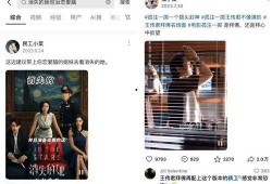 在线视频观看国产,在线视频观看背后的国产力量