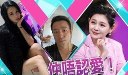 记者爆料汪小菲视频,记者爆料背后的真相
