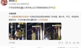爆料奇特视频大全播放,奇观异象尽收眼底