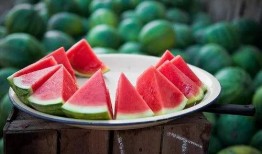 吃瓜群2023免费,揭秘娱乐圈幕后故事，免费畅享娱乐盛宴