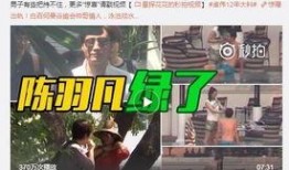 李信诗皮肤爆料视频,神秘诗篇，剑舞星辰