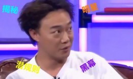 娱乐圈曝光爆料的明星,揭秘明星背后的故事与真相