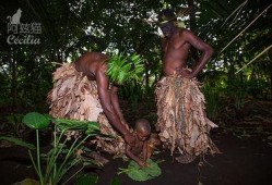 黑色丛林 在线观看,惊悚探险，在线惊悚盛宴