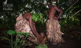 黑色丛林 在线观看,惊悚探险，在线惊悚盛宴