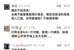 今日经典爆料新闻视频下载,揭秘热门视频背后的惊人真相