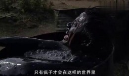 黑色丛林 在线观看,惊悚探险，在线惊悚盛宴